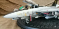 IPMS (UK) F-14 Tomcat SIG