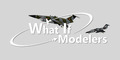 What If Modelers