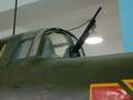 Ilyushin Il-10 Beast